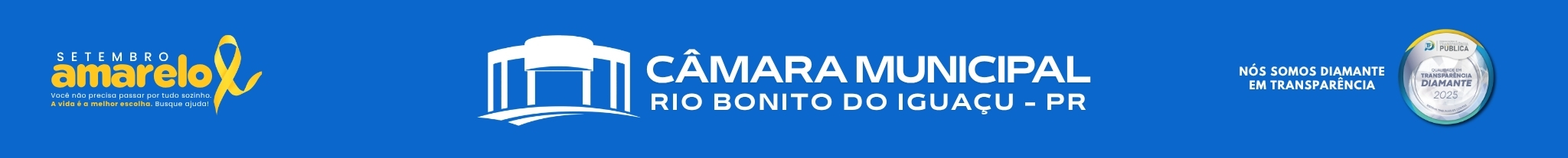 Câmara Municipal de Rio Bonito do Iguaçu